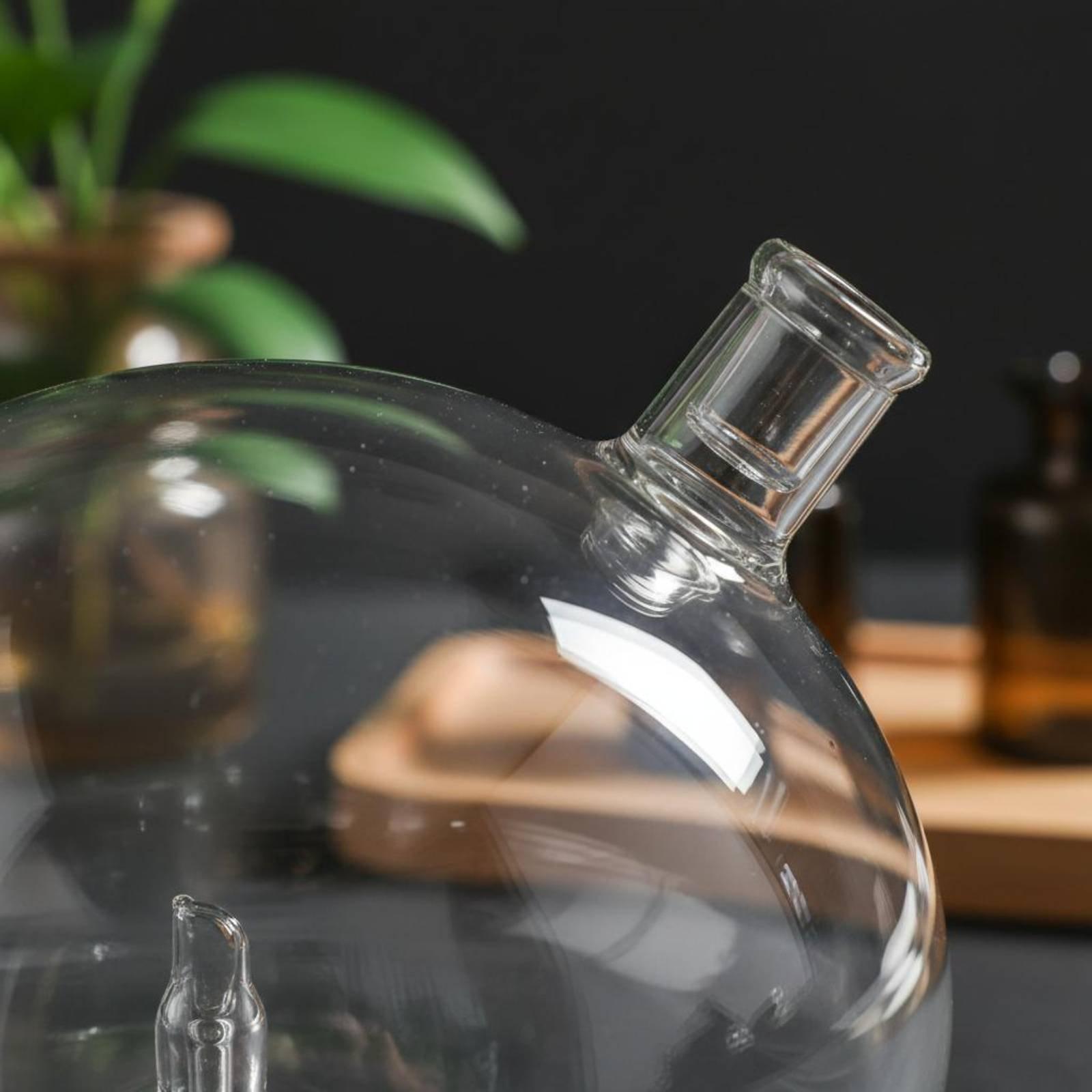 Универсальный стеклянный сменн – обзор и цена Home Fragrance For Diffuser